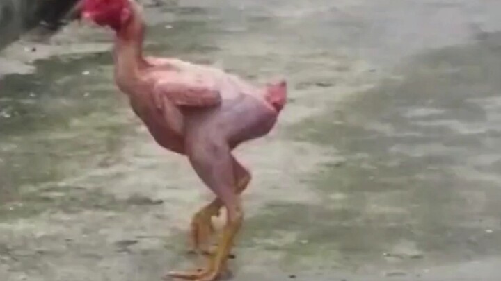 Who says I’m a tightwad who won’t spend a single penny?