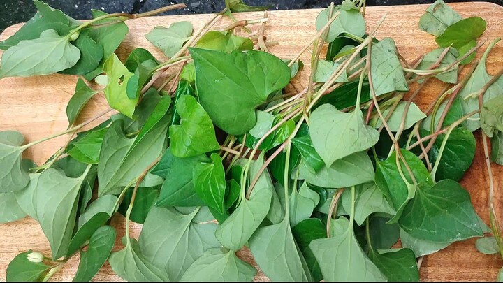 Bài thuốc trị mụn hiệu quả từ rau diếp cá