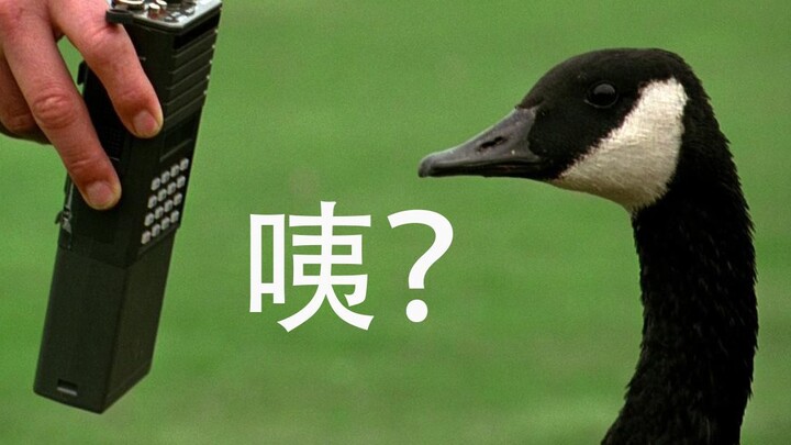 【Anh Việt】Điểm Douban 8,9, chỉ cần nhìn đề tài là đã muốn chấm điểm tuyệt đối rồi! Những “kẻ ngốc” d