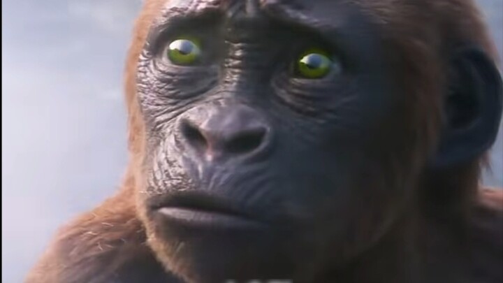 #MovieGodzilla vs. King Kong 2 Kilas balik manakah yang membuat Anda takjub semasa muda?