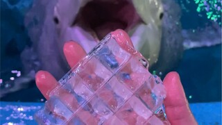 On a relaxing day, you've got to treat yourself to some snacks!