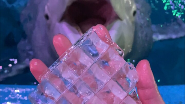 悠闲的一天必须要安排点小零食吃