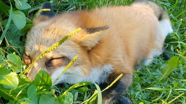 So much like you after the holidays!