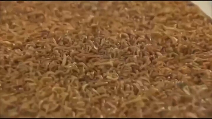 คลิปนี้มีแต่เรื่องตลก