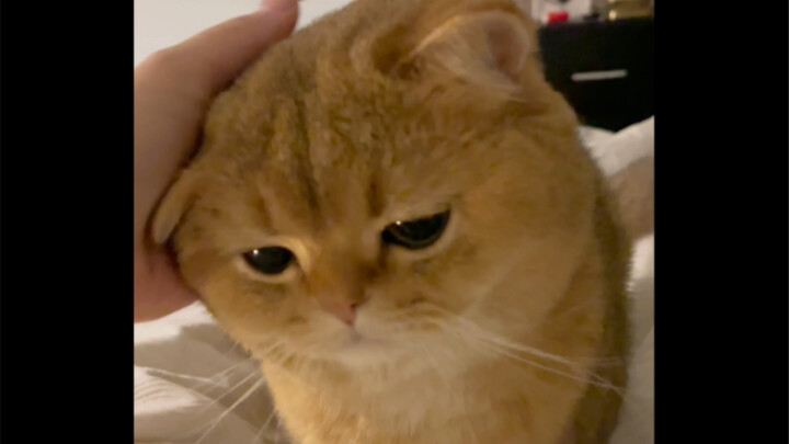 Kalau punya bayi yang clingy kayak aku, malamnya boleh enggak pulang lebih cepat?