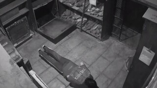 密室里来猴子了！