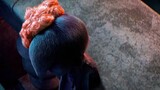 Rambut keriting di kepala anak laki-laki adalah kekeraskepalaan terakhir dari DNA sang ayah