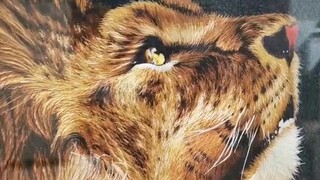 ما هو التطريز ثنائي الجانب بثلاثة اختلافات؟ يعني أن الخطوط الخارجية على كلا الجانبين متشابهة، لكن ال