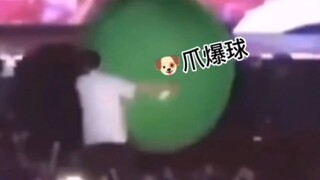 【คิมมินกยู】สุนัขตัวใหญ่ที่ซ่าและพุ่งชน รวมคลิปแก๊งหมาจอมซ่าสร้างความวุ่นวาย - จีมินกยู