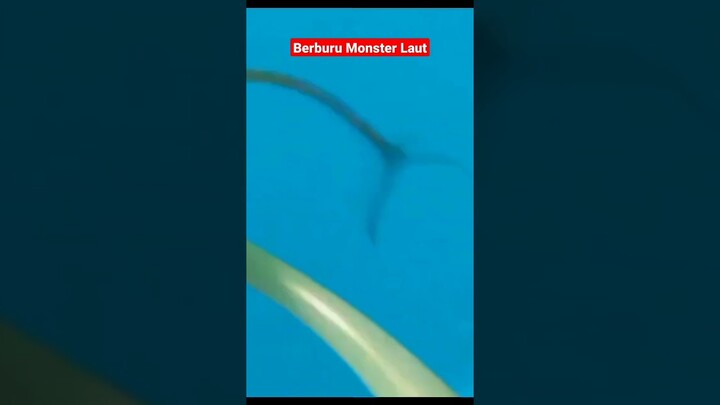Pertempuran Seru Melawan Monster Laut! Alur cerita The Sea Beast.#shorts
