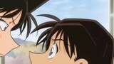 [Shinran] Black Chicken, you have caused a lot of trouble for Shinichi