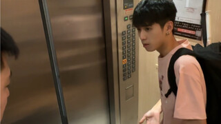 Chó thực sự có thể hiểu được tiếng người không nhỉ