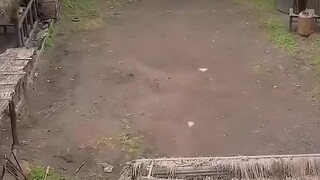 nabuhay muli sa ibang mundo at bumawi sa pamilya
