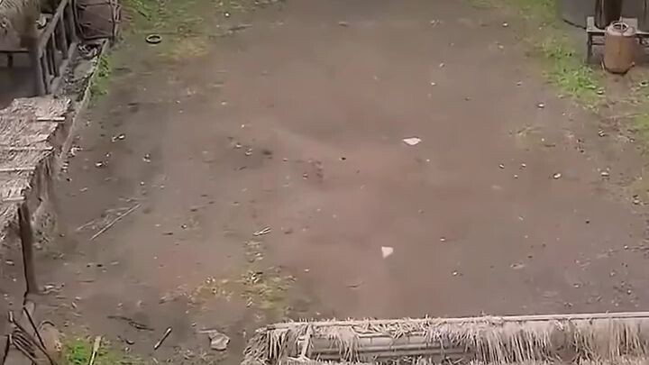nabuhay muli sa ibang mundo at bumawi sa pamilya