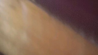 Why did I even Put the CAMERA on the dog That Likes that hole