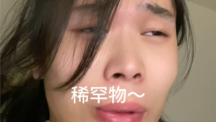 Chim xanh