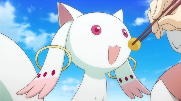 QB is cute