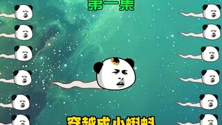 宠妹小蝌蚪:第一集，穿越成为小蝌蚪是什么体验