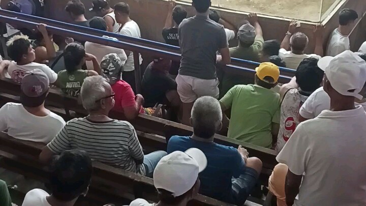 5cock Derby Naic Cavite