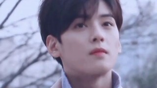 Cha eun woo