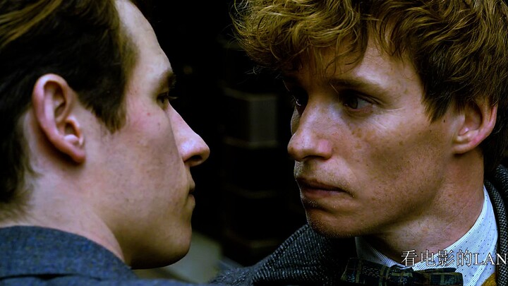 What does it feel like to have an Auror as a brother? This is what Newt really thinks