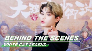 🐱Ding Yuxi Invites You to Pay Attention to "White Cat Legend"! | White Cat Legend | 大理寺少卿游 | iQIYI