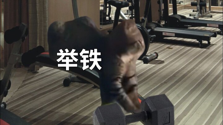 เมื่อฉันตัดสินใจออกกำลังกายแบบกะทันหัน