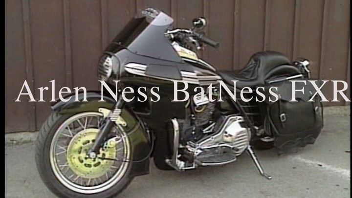 Arlen Ness FXR Custom BatNess