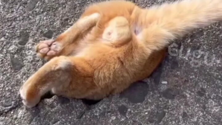 ? ?
