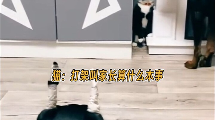 دوبين ينتقم لزوجته