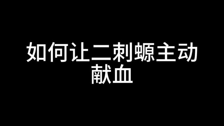 二刺螈要主动承担社会责任呦