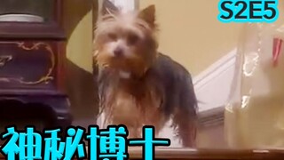 【抓马】平行世界里爸妈变得超有钱，但你成了一条狗《神秘博士DR.WHO》第2季第5集