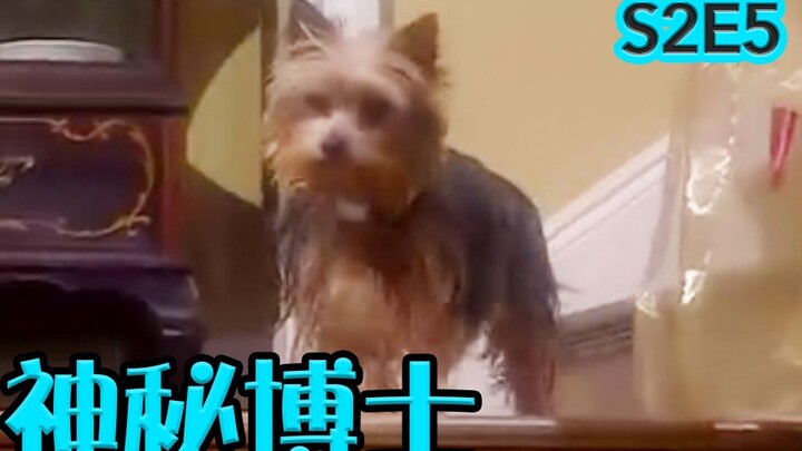 【抓马】平行世界里爸妈变得超有钱，但你成了一条狗《神秘博士DR.WHO》第2季第5集