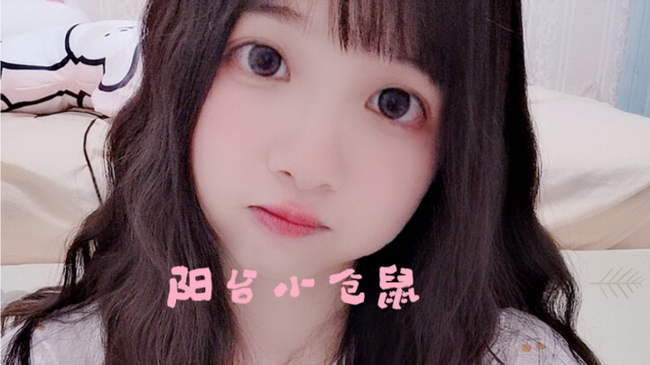 The typhoon is coming! If we don't take the little hamster away now, it'll get blown away!