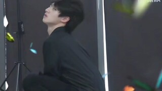 我宣布这个就是蝶塑之王