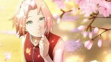 Naruto: Sakura amv ON MY WAY