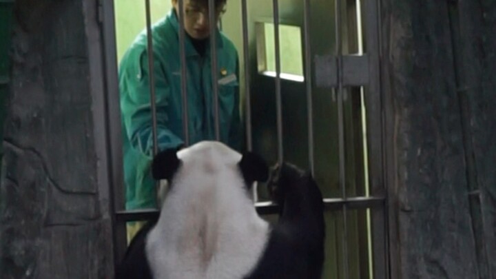 11.5 เมิ่งต้าไม่พอใจ พ่อเลี้ยงน้ำนมเหลืองเปิดประตูก่อน แล้วก็ปิดเอง แถมยังมาเคาะประตูอีก