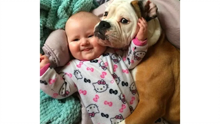 สุนัขที่น่ารักดูแลทารก 🐕🐕🐕 ทารกและสัตว์เลี้ยงตลก