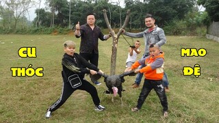 Đi Săn Thần Điểu Bằng Ná Cao Su Khổng Lồ Cùng Cu Thóc Và Mao Đệ Đệ