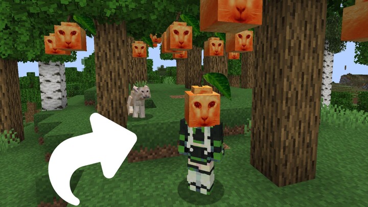 When the Ugly Orange Cat is added to MC (Player: The Ugly Orange isn’t ugly, it’s just the second-le