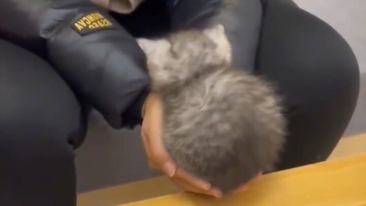 It's so tiny, I want to hold it in the palm of my hand.