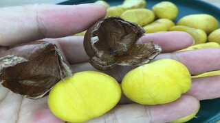 There's a tiny switch on the chestnut; press it gently, and the shell pops right off automatically—p