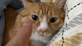 Kamu kira aku mau bikin drama sama kamu?