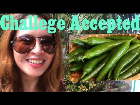 Mukbang Chilli | Spicy Challenge | By Witty Bonita