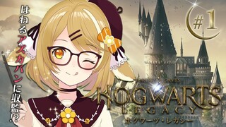 【ホグワーツ・レガシー】アズガバン寮が似合うVtuber世界2位！入学します！！！Hogwarts Legacy【因幡はねる / あにまーれ】