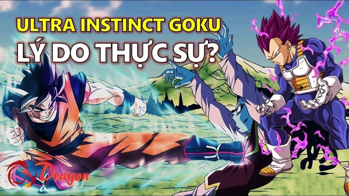 Lý do thực sự khiến Goku (không phải Vegeta) đạt được Ultra Instinct