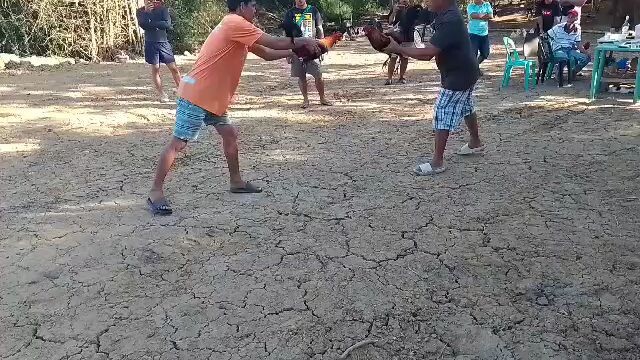 tupada sa fiesta. part 2