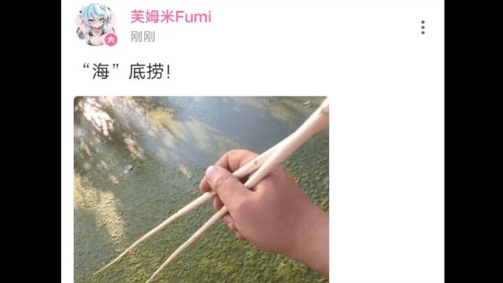 大型纪录片之《粪坑海底捞》持续为您播出