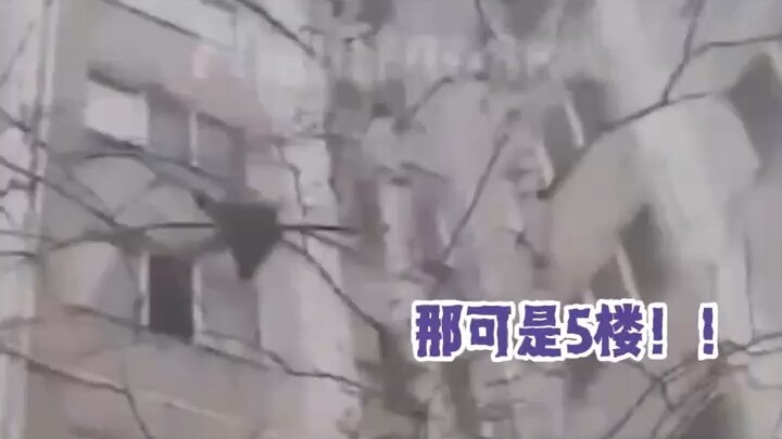 ฉันว่าพอลทำไมมีจิตใจเข้มแข็งขนาดนั้น ก็เพราะพื้นฐานดีนี่เอง