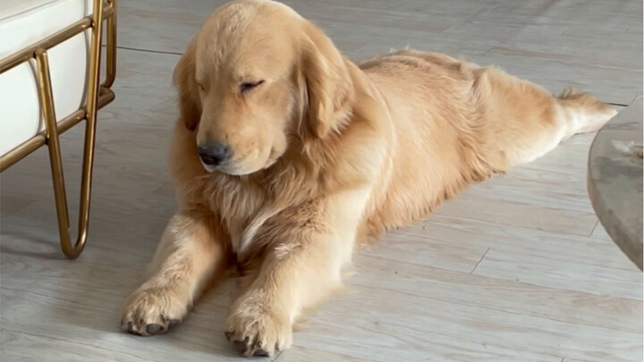 Hôm nay là ngày của thằng ngốc ngủ không dậy nổi